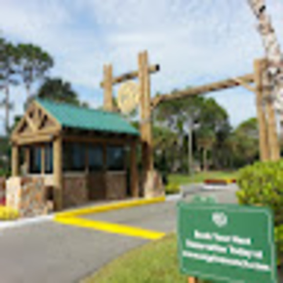 Meet your Posher, Leonora - Picture 1 of 1